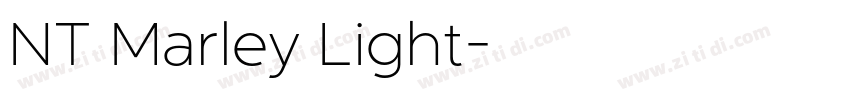 NT Marley Light字体转换